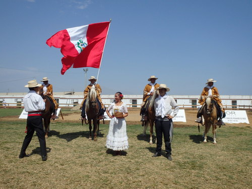 Peruvian Step Horse Show.